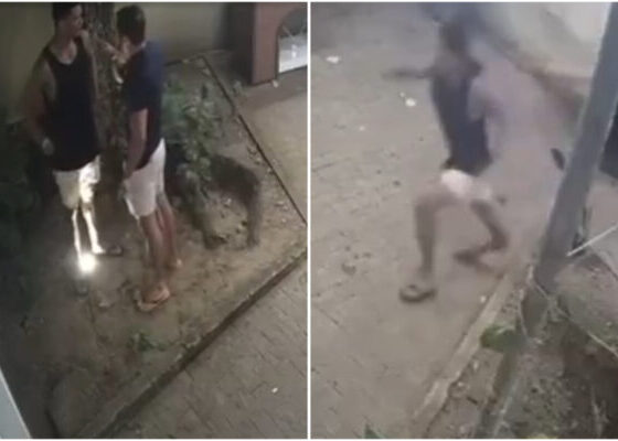 Iimagem colorida, Vídeo flagra delegado atirando em morador de Fernando de Noronha - Metrópoles