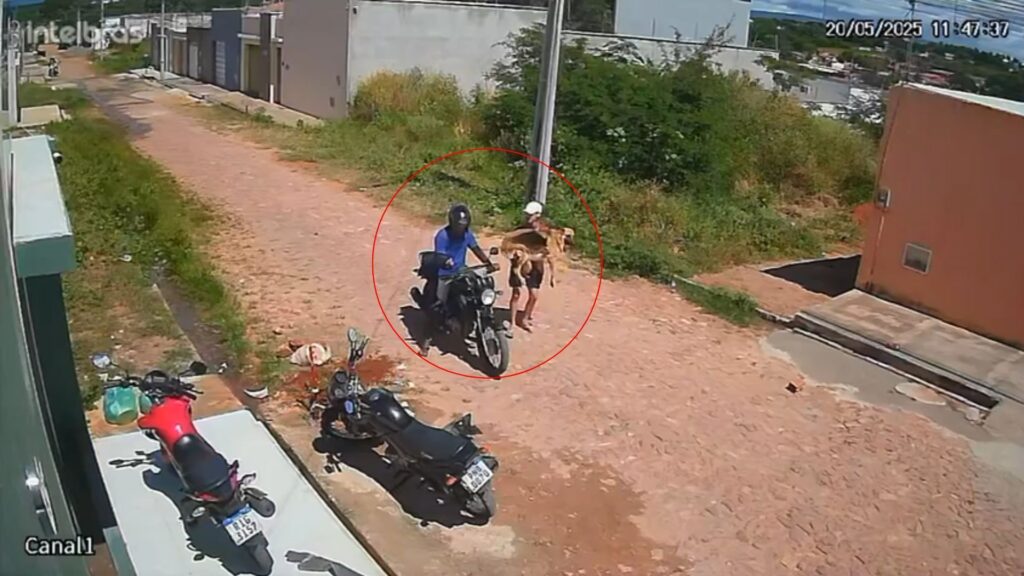 CNN Brasil