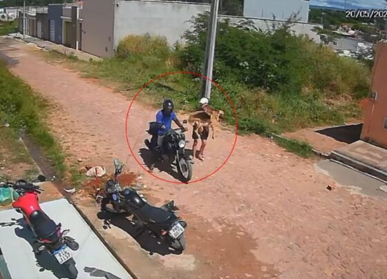CNN Brasil