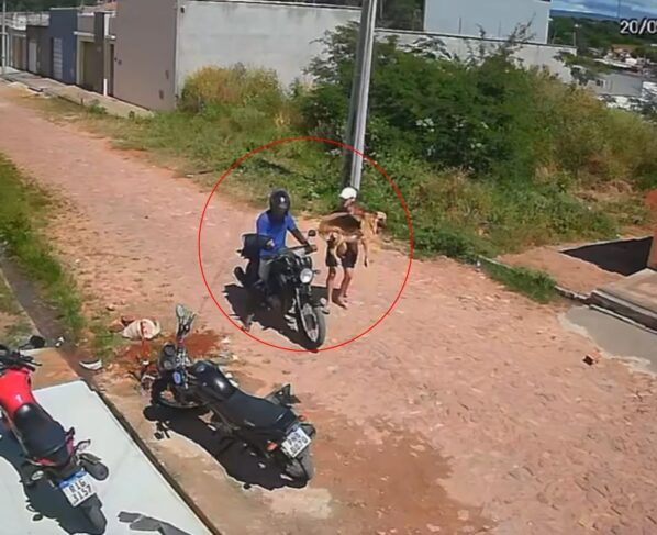 CNN Brasil