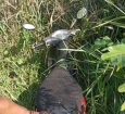 MOTOCICLETA FURTADA É RECUPERADA EM AÇÃO RÁPIDA DA POLÍCIA MILITAR