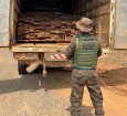 Polícia Ambiental apreende mais de 8m³ de madeira ilegal em