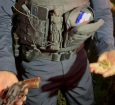 ROUBO À MÃO ARMADA É FRUSTRADO PELA POLÍCIA APÓS PERSEGUIÇÃO