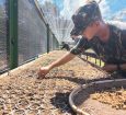Soldados do Exército recebem capacitação em produção de mudas no